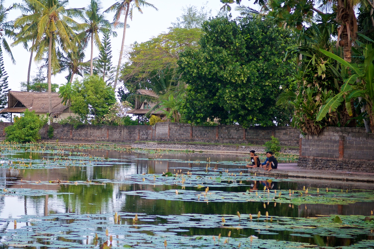 Imágenes del punto de interés Lotus Lagoon