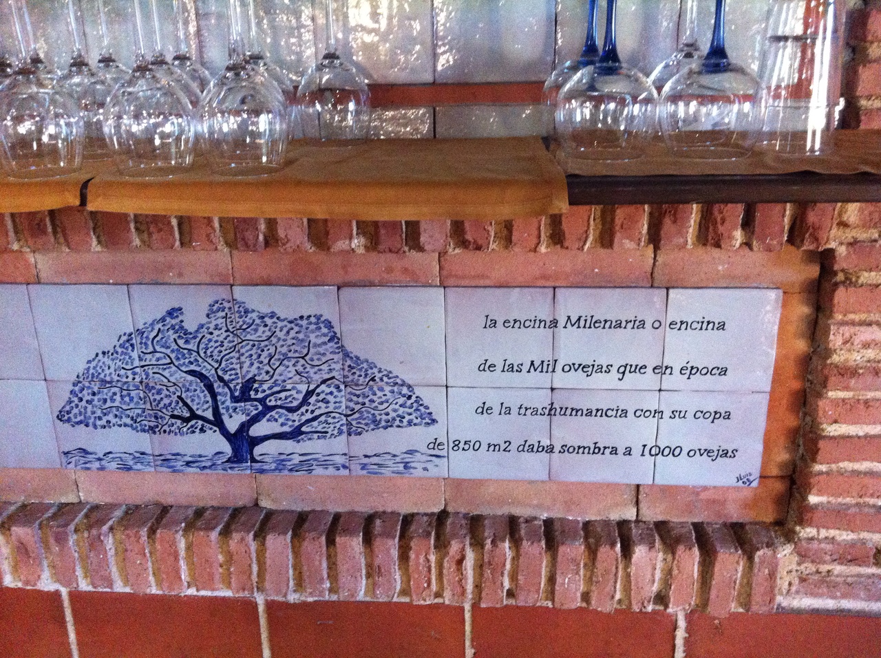 Imágenes del punto de interés Encina milenaria o de las mil ovejas