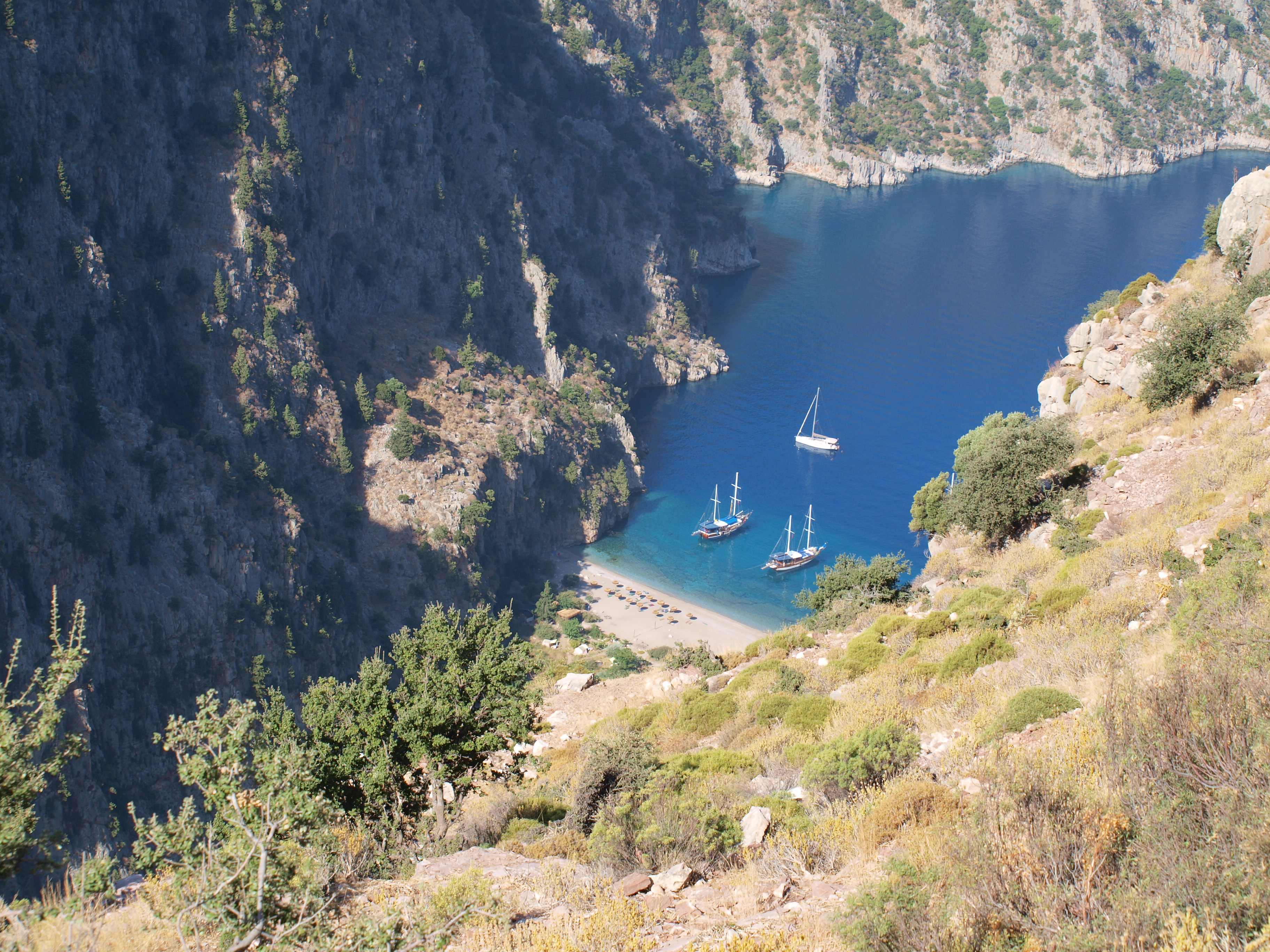 Imágenes del punto de interés Valle de las mariposas