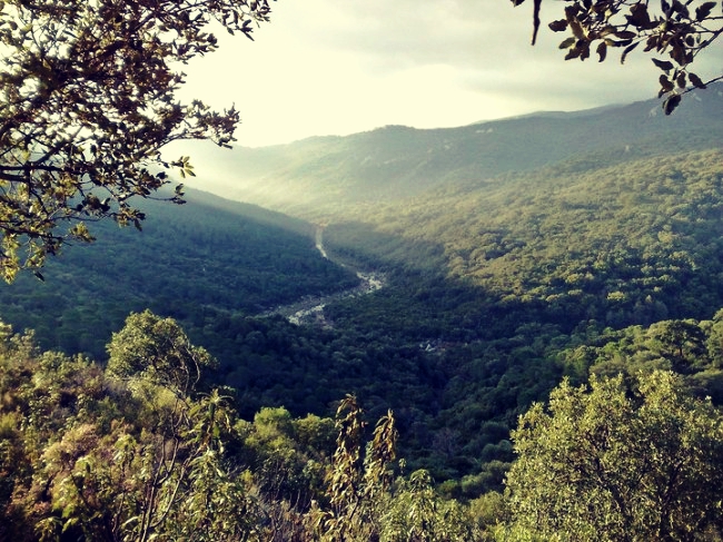 Imágenes del punto de interés Puerto Galis - Jimena de la Frontera, C-3331