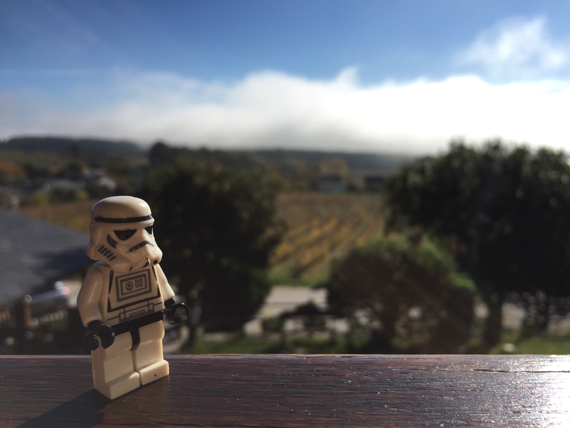 Imágenes del punto de interés Palacio de Canedo