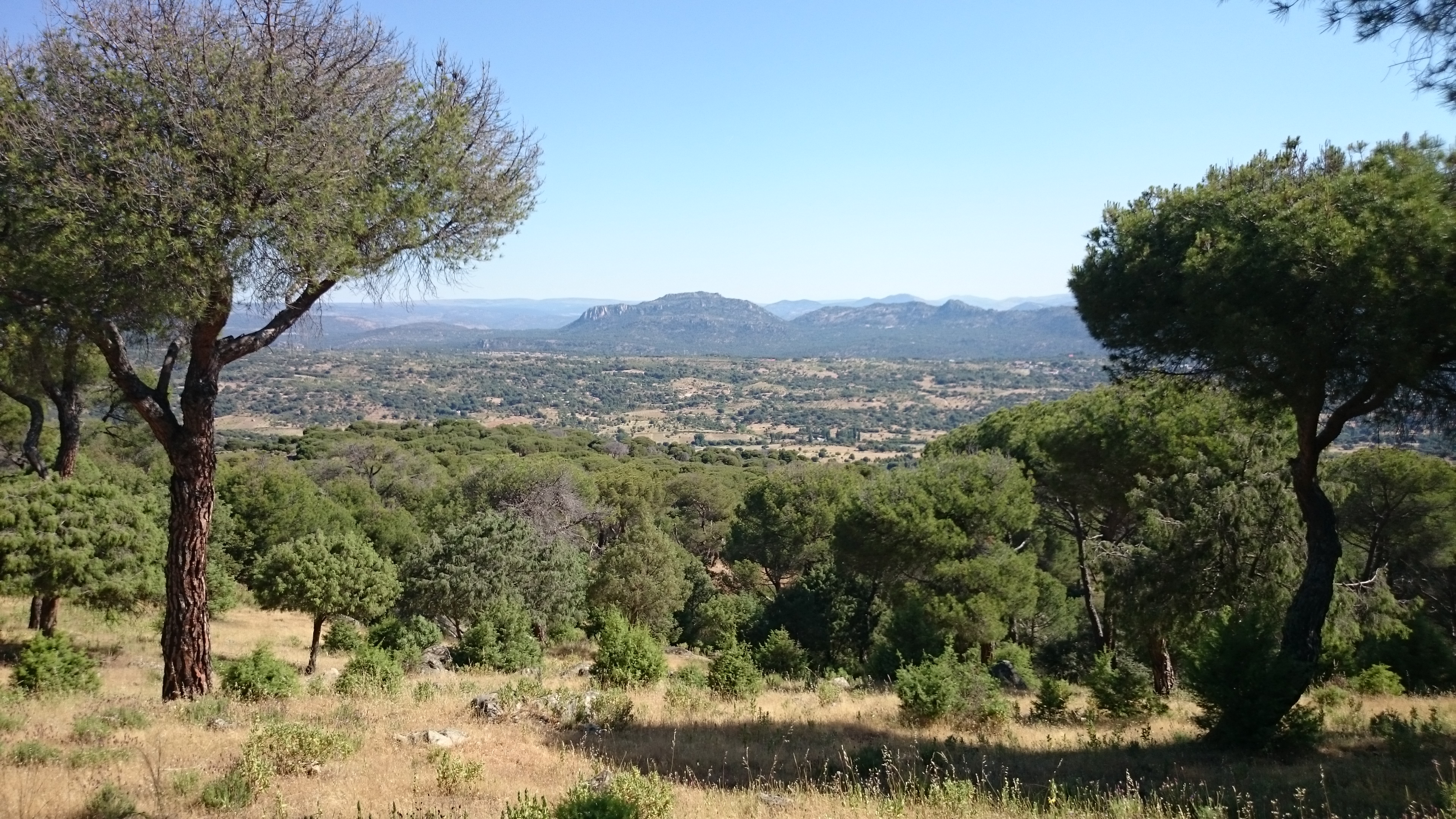 Imágenes del punto de interés CARRETERA M541