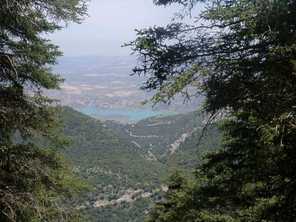 Imágenes del punto de interés Parque natural de Grazalema