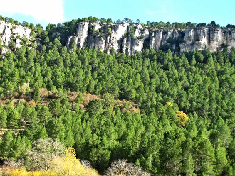 Imágenes del punto de interés Serranía de Cuenca, CM-210
