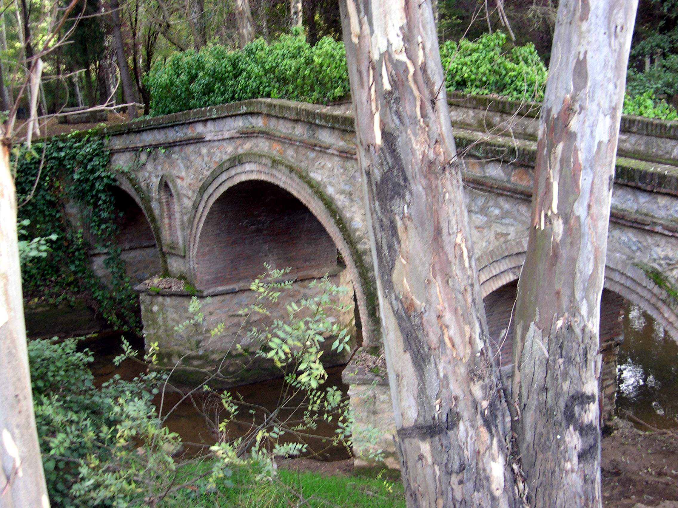 Imágenes del punto de interés Merendero