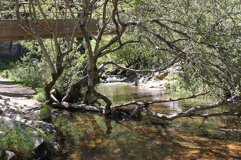 Imágenes del punto de interés Cascada Cola de Caballo - LUIS - 1315