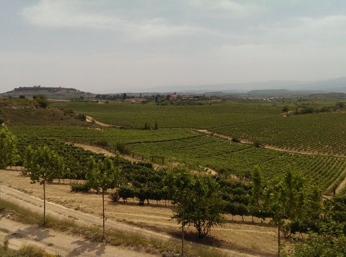 Imágenes del punto de interés Bodegas Eguren Ugarte