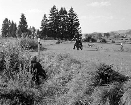 Imágenes del punto de interés Hopfen Am See