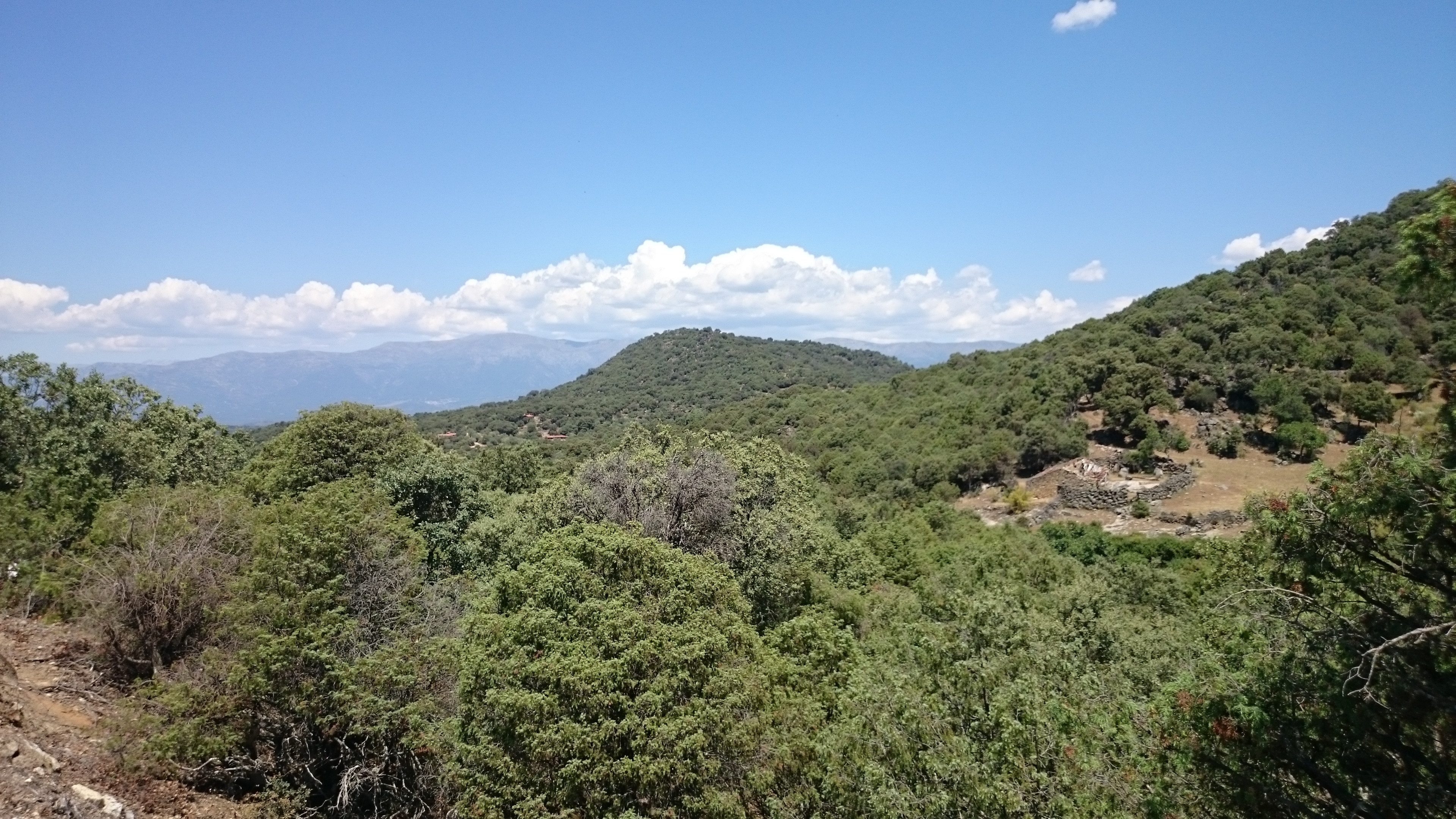 Imágenes del punto de interés Antes de llegar a Almedral de la Cañada