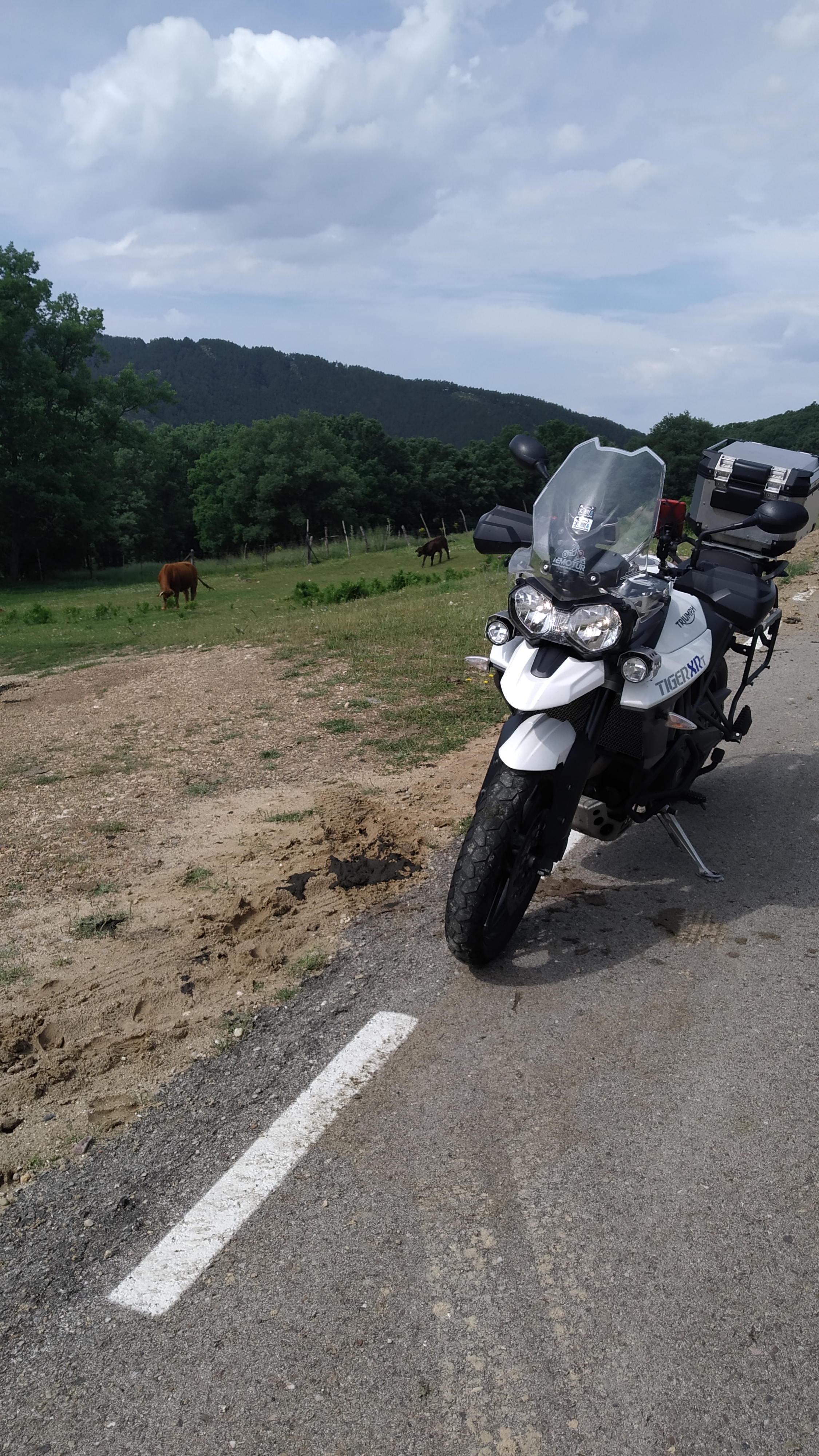 Imagen sobre la ruta PINTO -CAZORLA