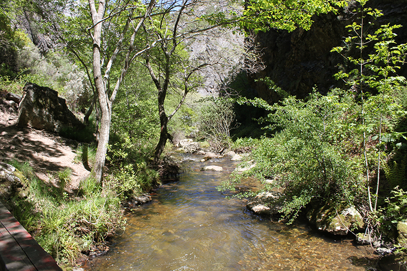 Imagen sobre la ruta Al Puerto de Vegarada