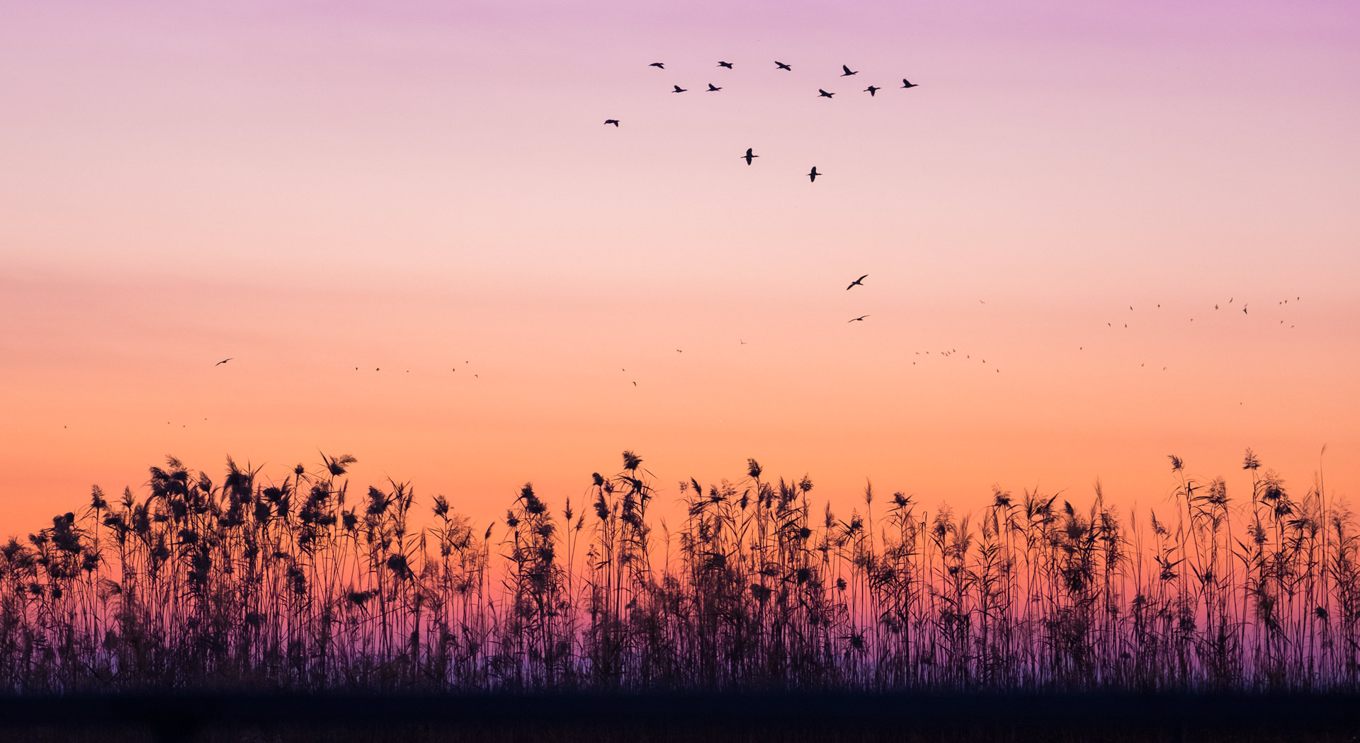 Imagen sobre la ruta SIERRA CALDERONA