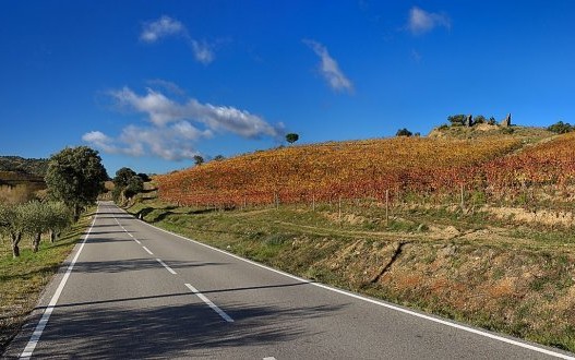 Imagen sobre la ruta Vendrell - L'ametlla de mar
