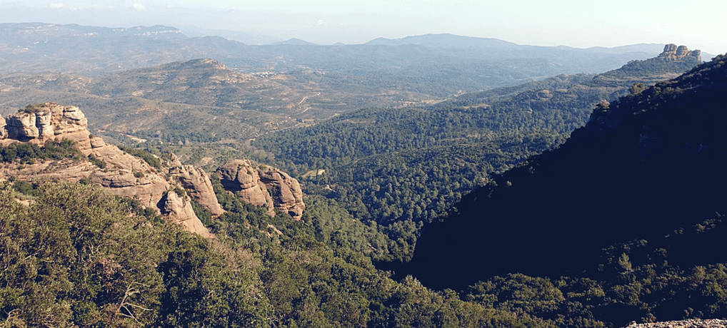 Imagen sobre la ruta RUTA COLLSUSPINA-PALLEJÀ