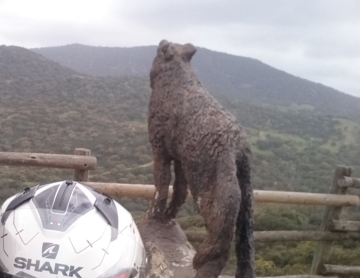 Imagen sobre la ruta La ruta del Lobo