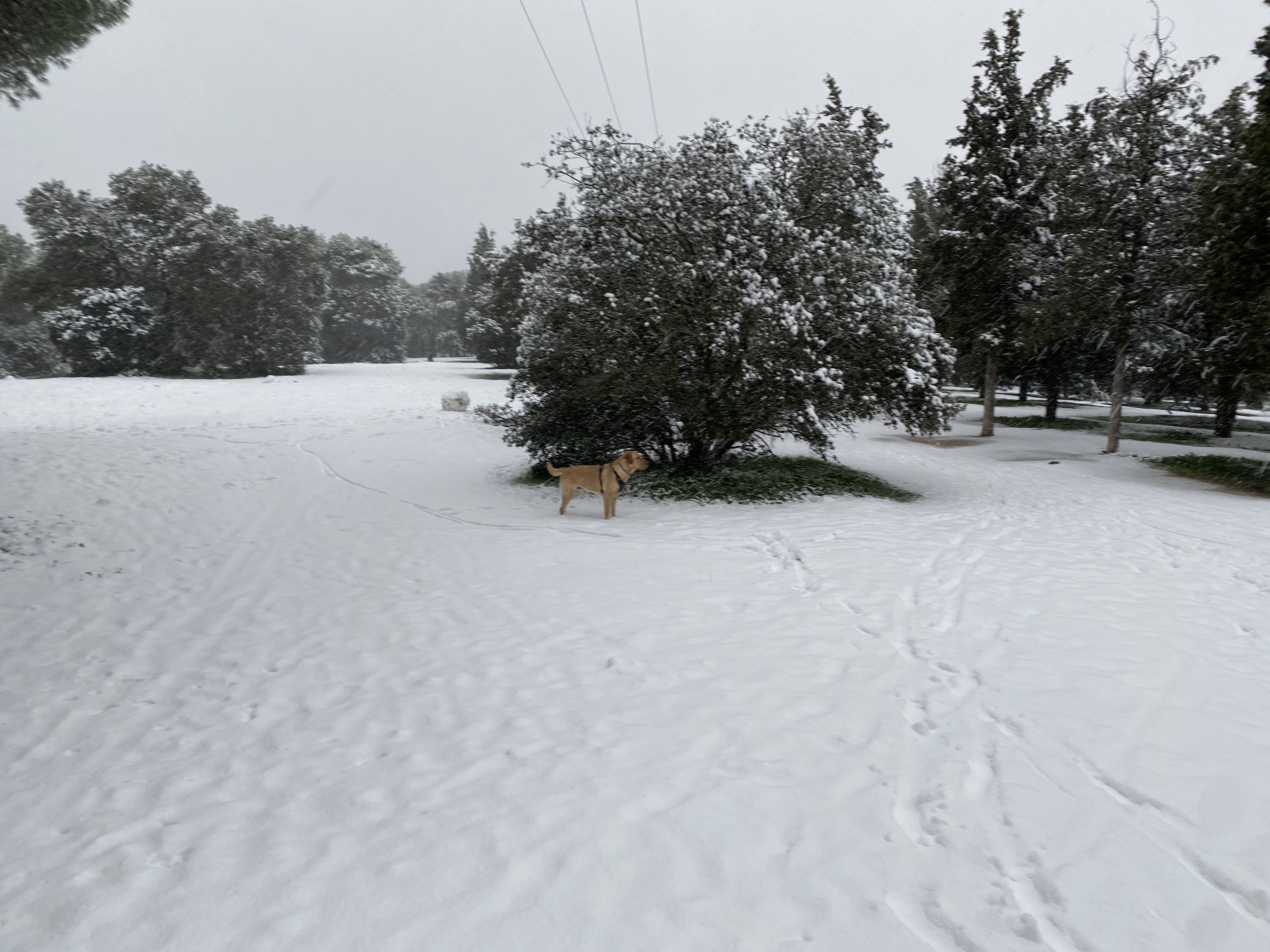 Imagen sobre la ruta Sierra pobre de Madrid