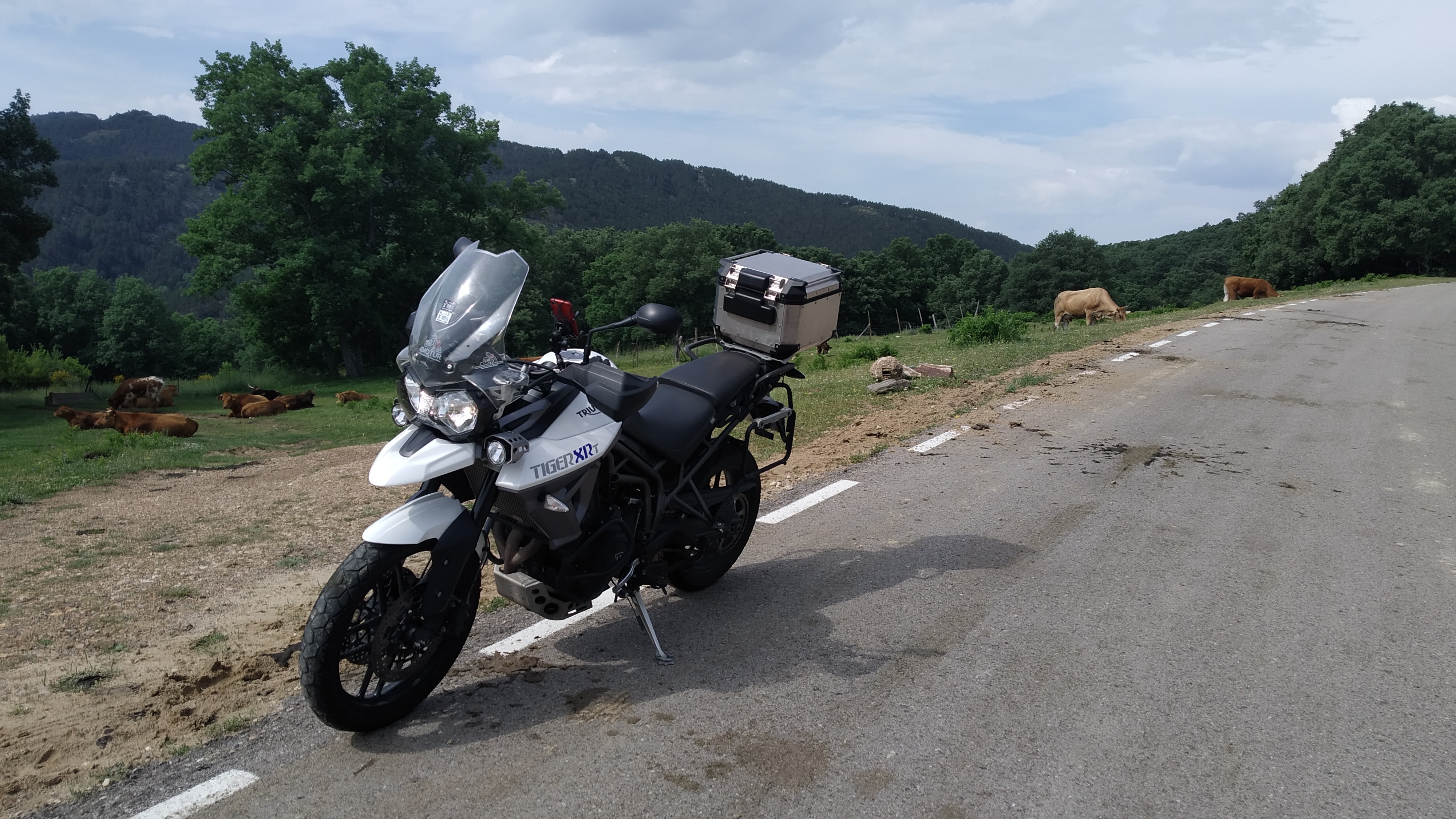 Imagen sobre la ruta P.N. CABAÑEROS