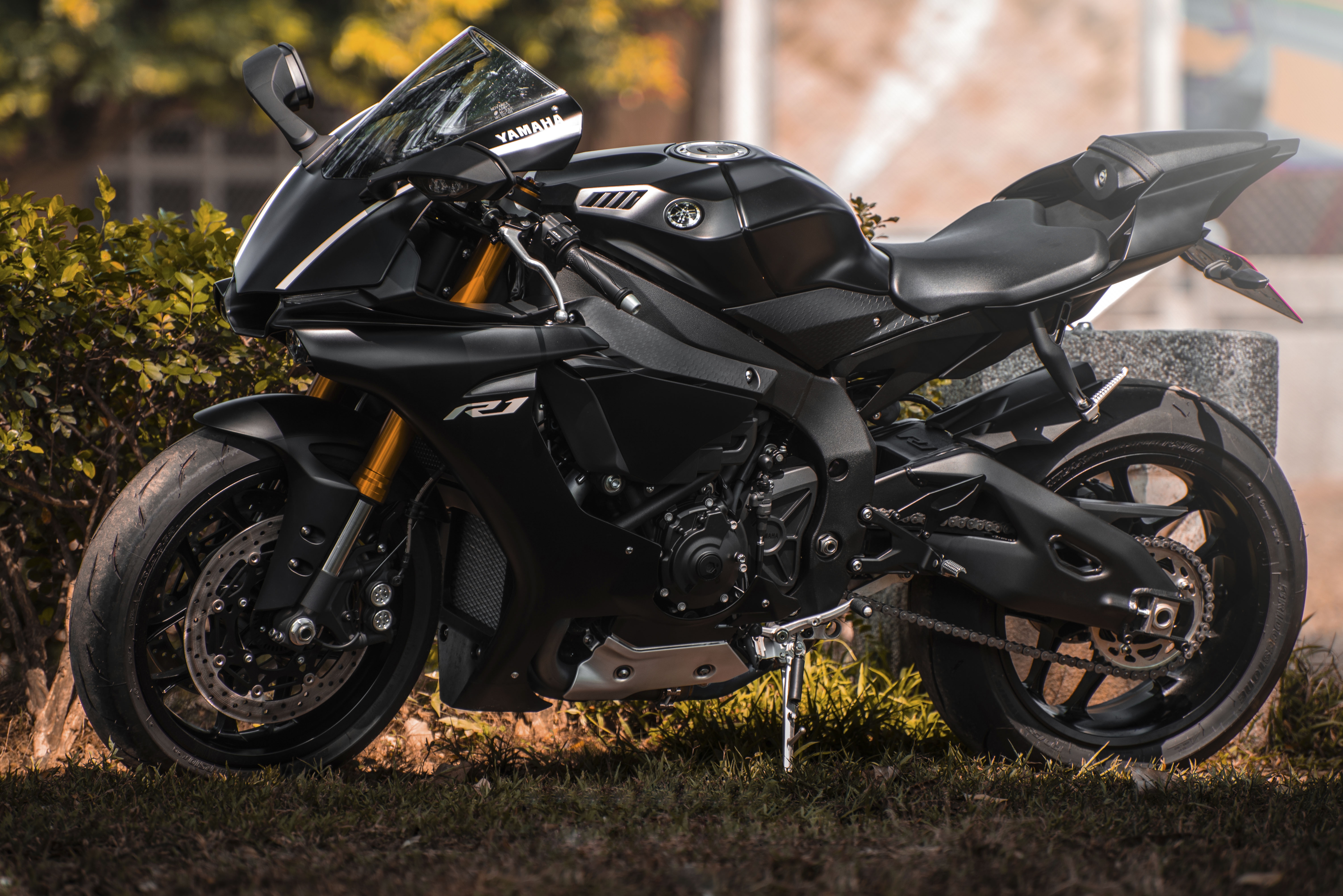 Imagen de perfil de Saul Alonso Del Rio