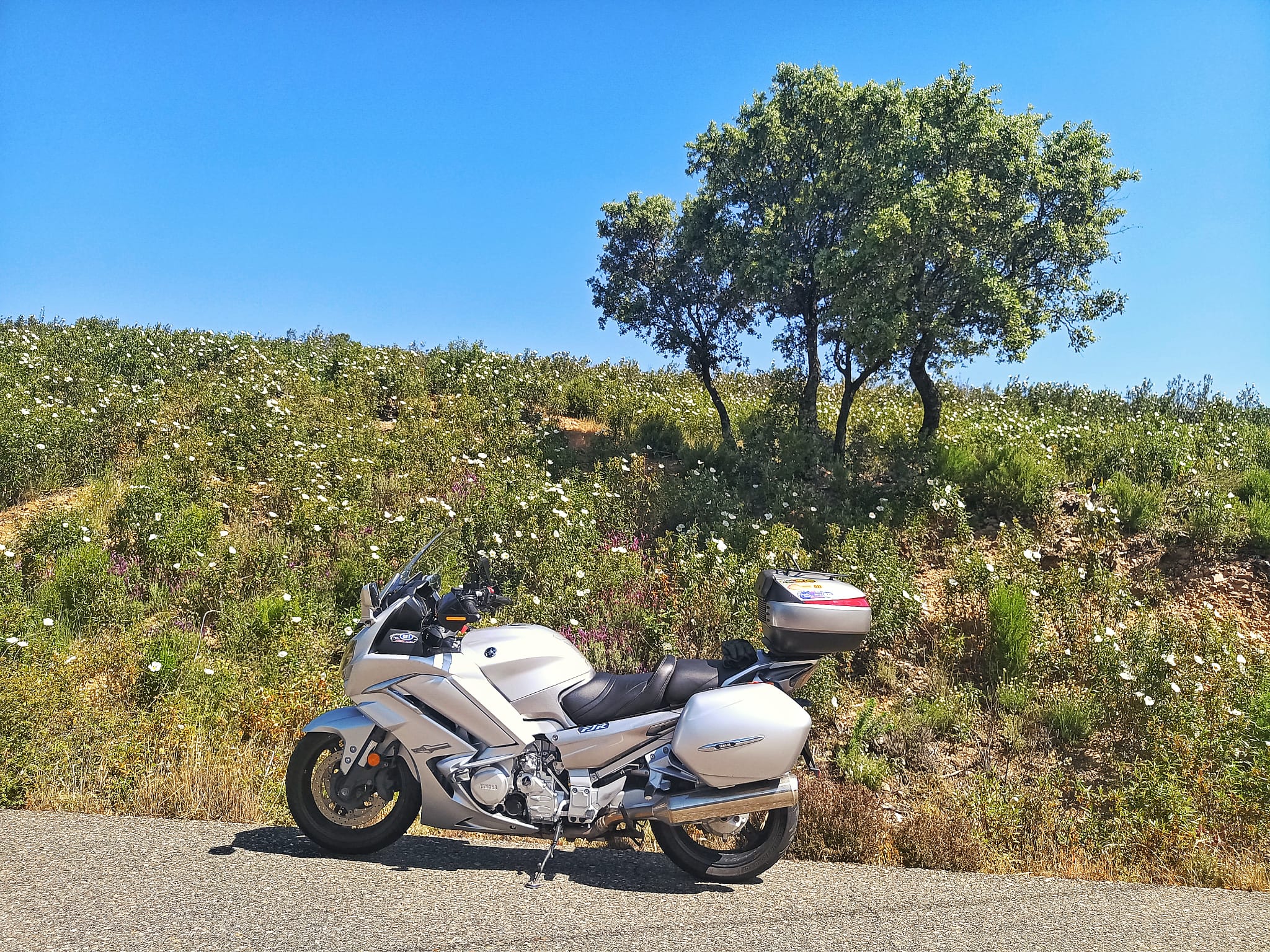 Imagen de perfil de niquidearganda