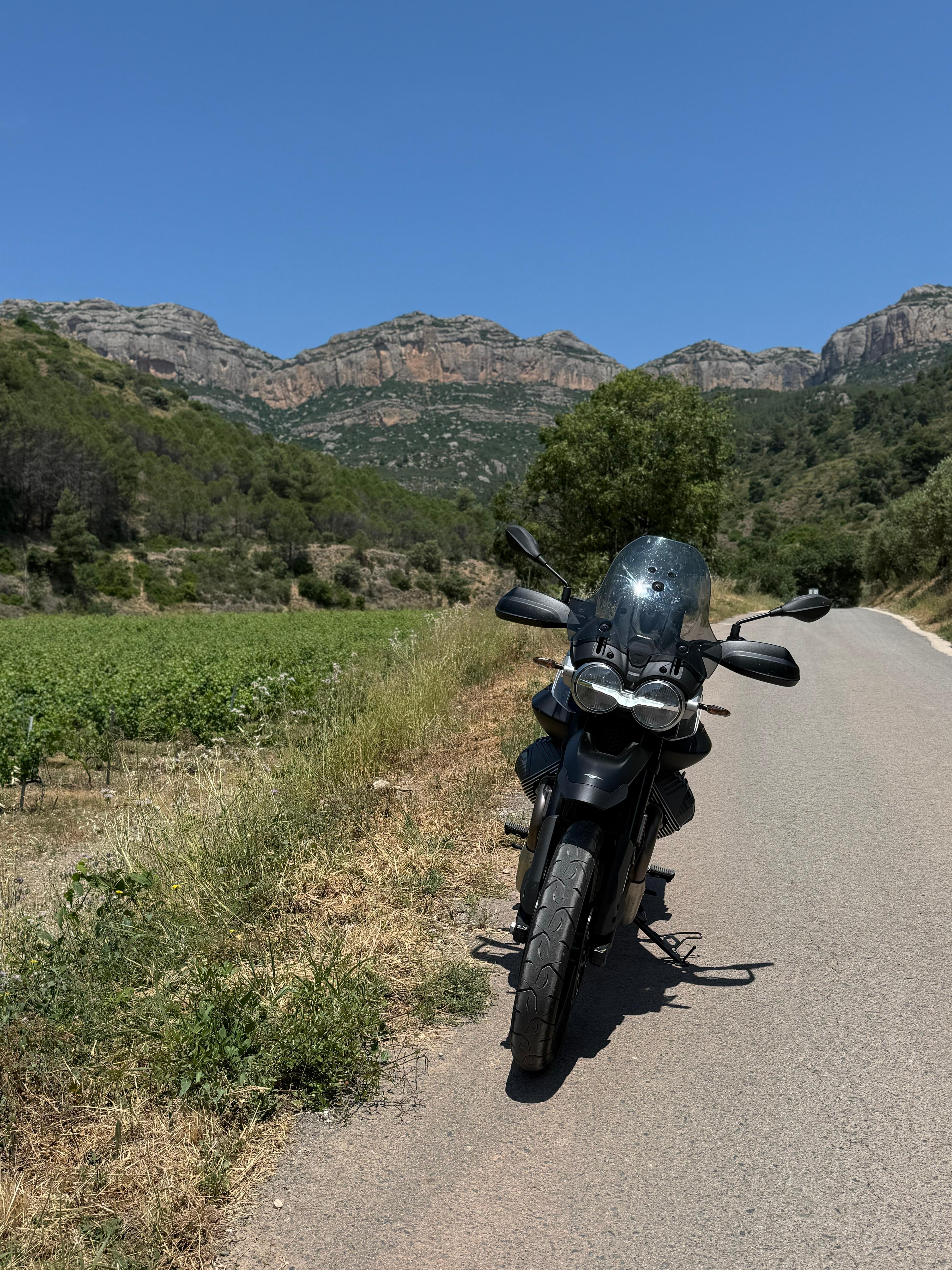 Imagen de perfil de DaniGuzzi