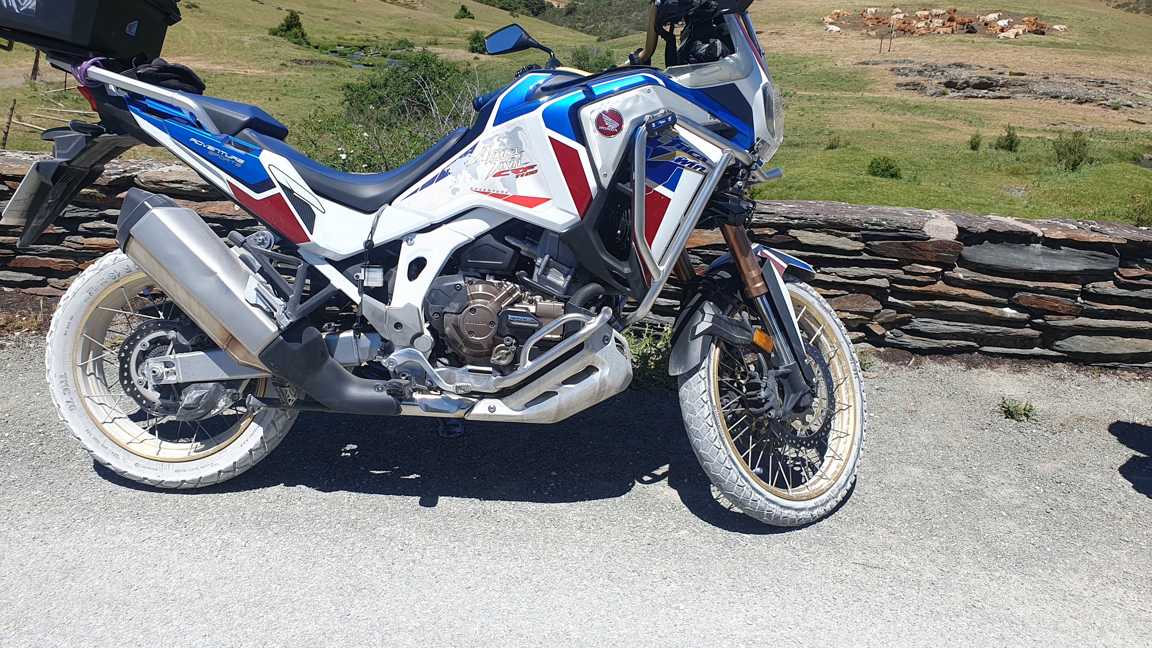 Imagen de perfil de juanank1200