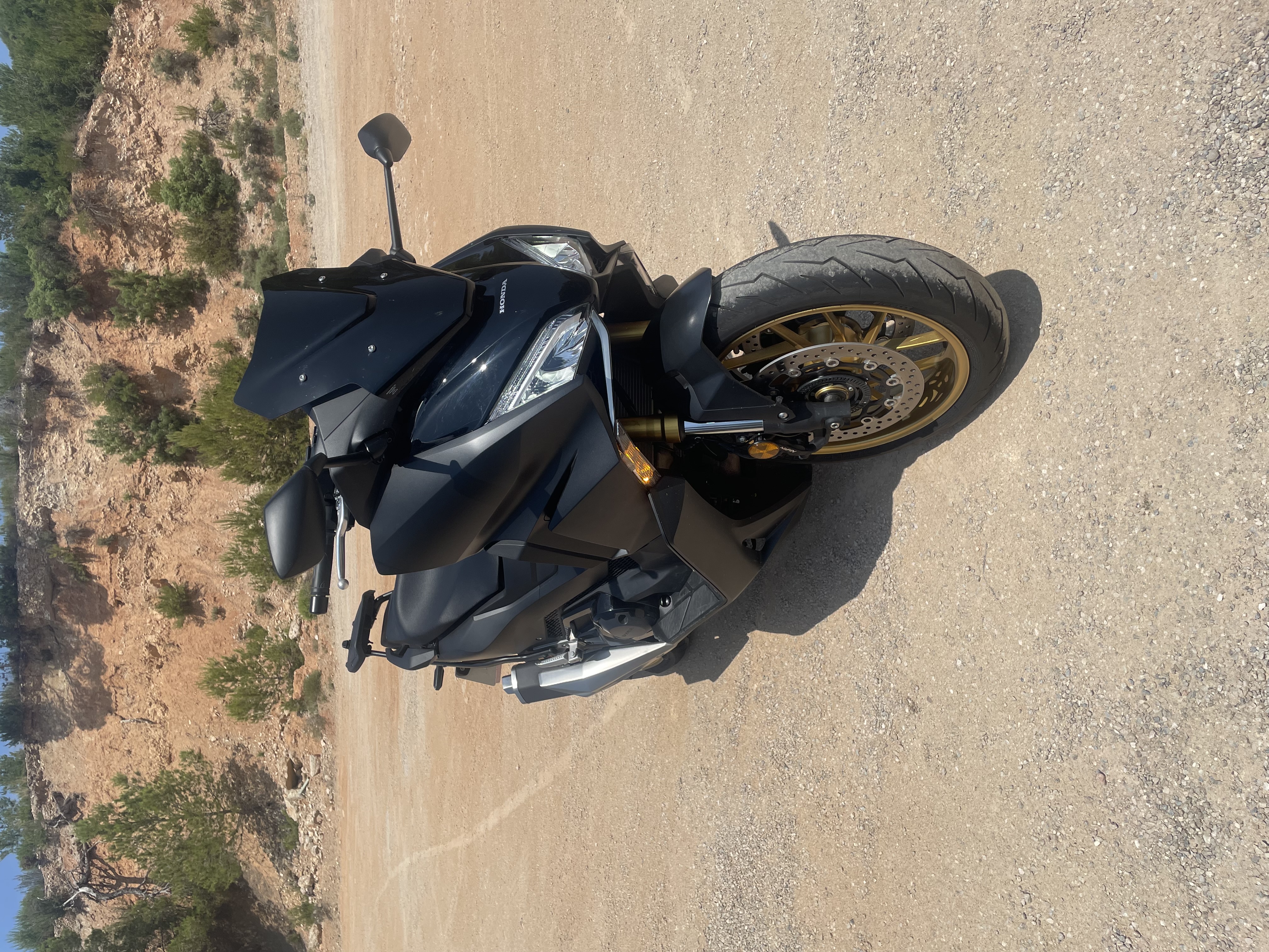 Imagen de perfil de sega