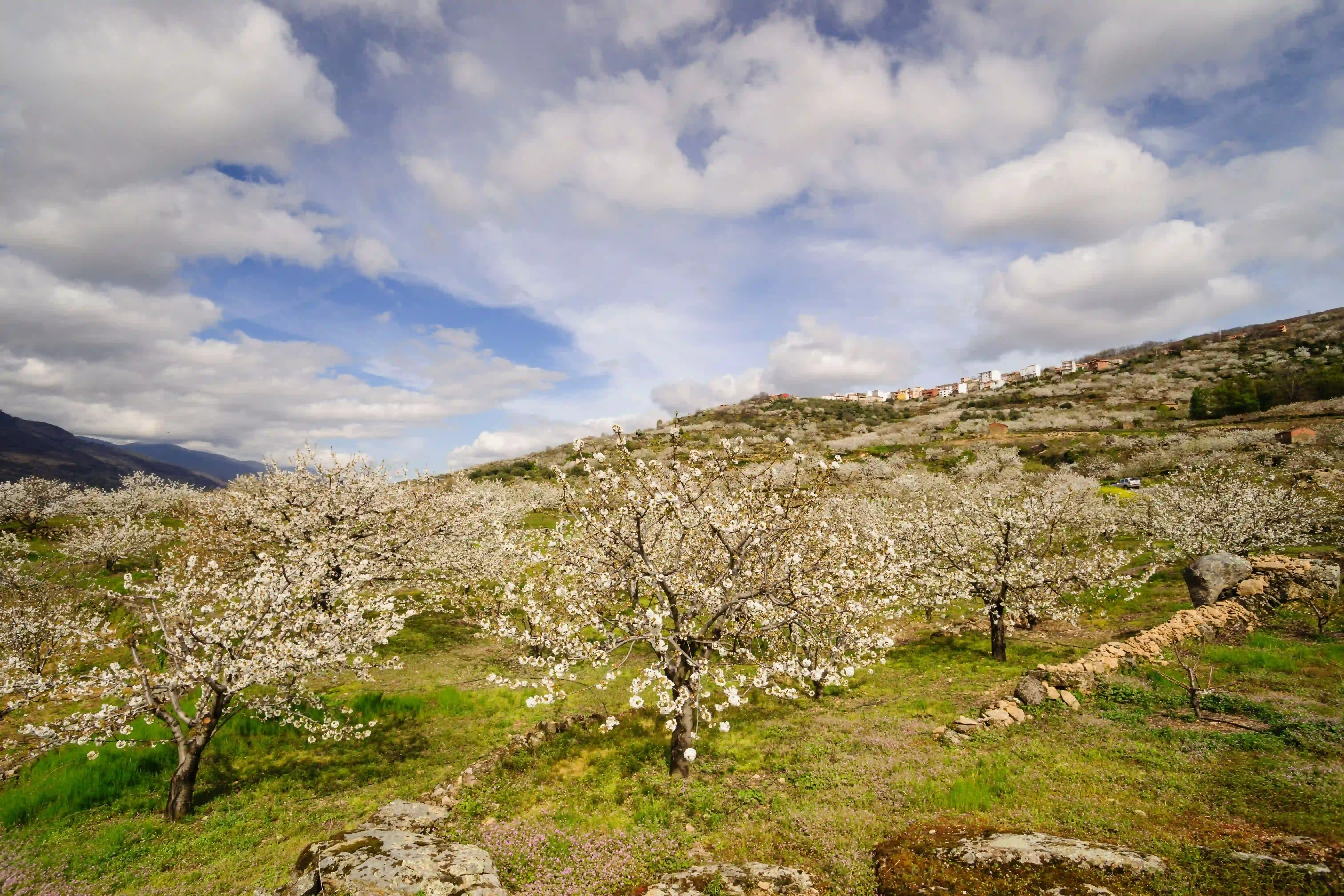 Paisaje pintoresco sobre la comunidad autónoma